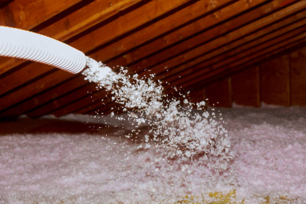 Best Local Insulation Services  in Stone Ridge, VA