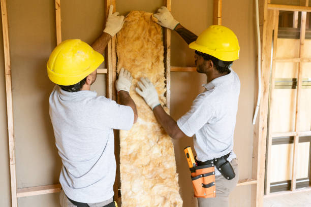 Insulation Repair Services in Stone Ridge, VA